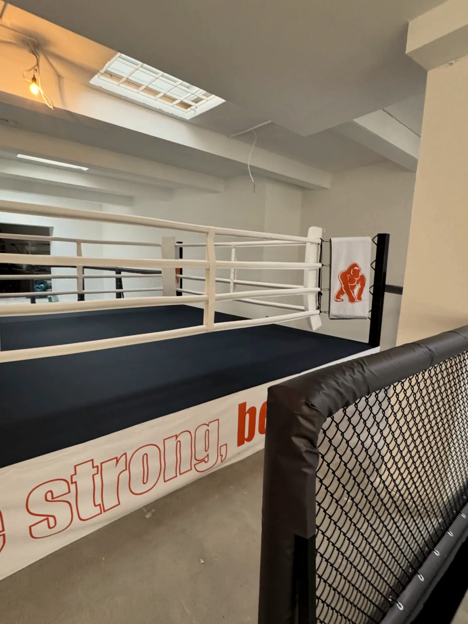 Boxring und MMA-Käfig nebeneinander in einem neu eingerichteten Studio