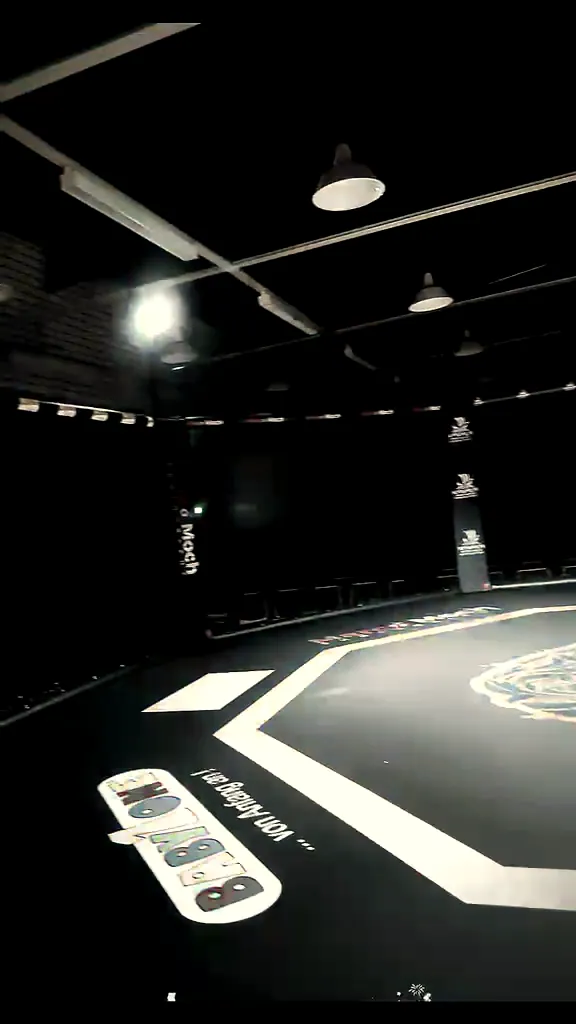 Octagon-Käfig mit bedrucktem Boden in einem Kampfsportstudio